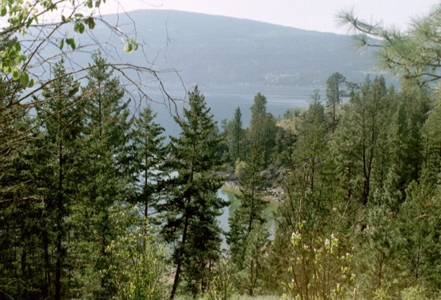 can2_07.jpg