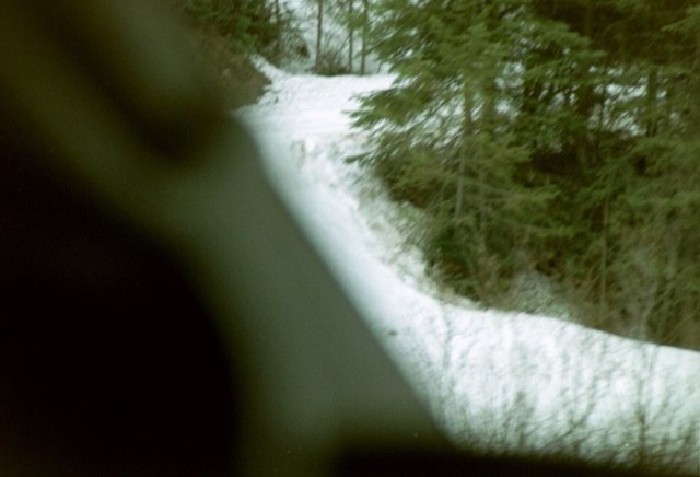 can2_19.jpg