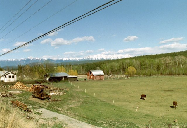 can3_06.jpg
