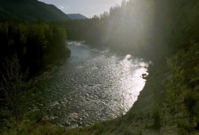 can3_09.jpg