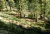 can3_10_small.jpg