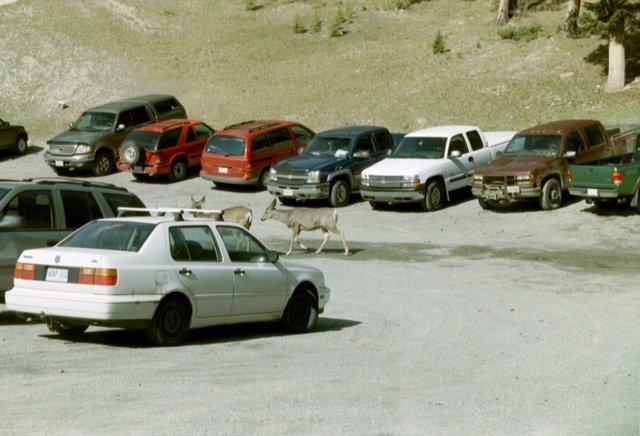 can3_25.jpg