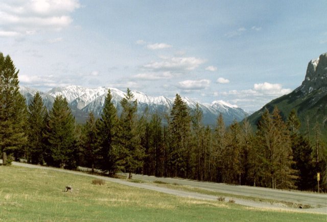 can3_28.jpg
