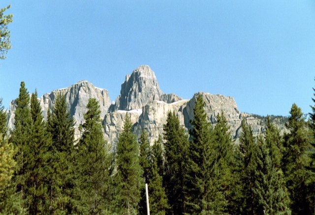 can3_34.jpg