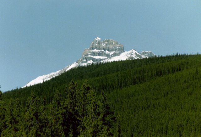 can4_04.jpg