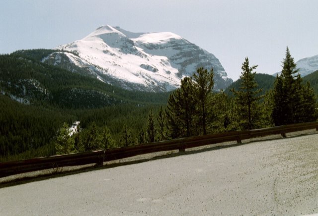 can4_07.jpg