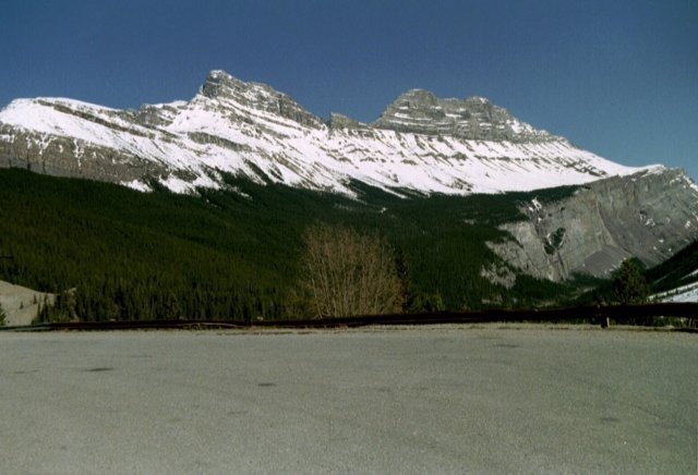 can4_08.jpg