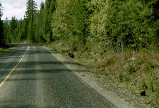 can4_33.jpg