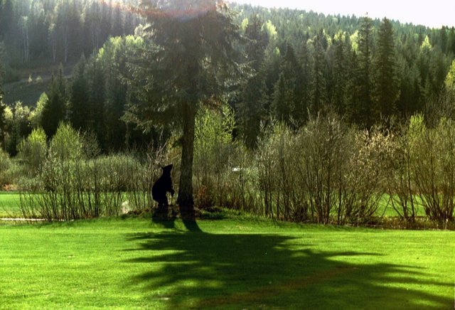 can5_08.jpg