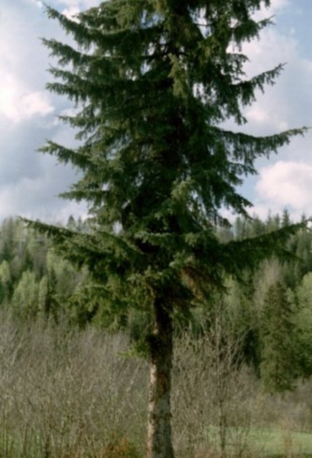 can5_09.jpg