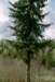 can5_09_small.jpg