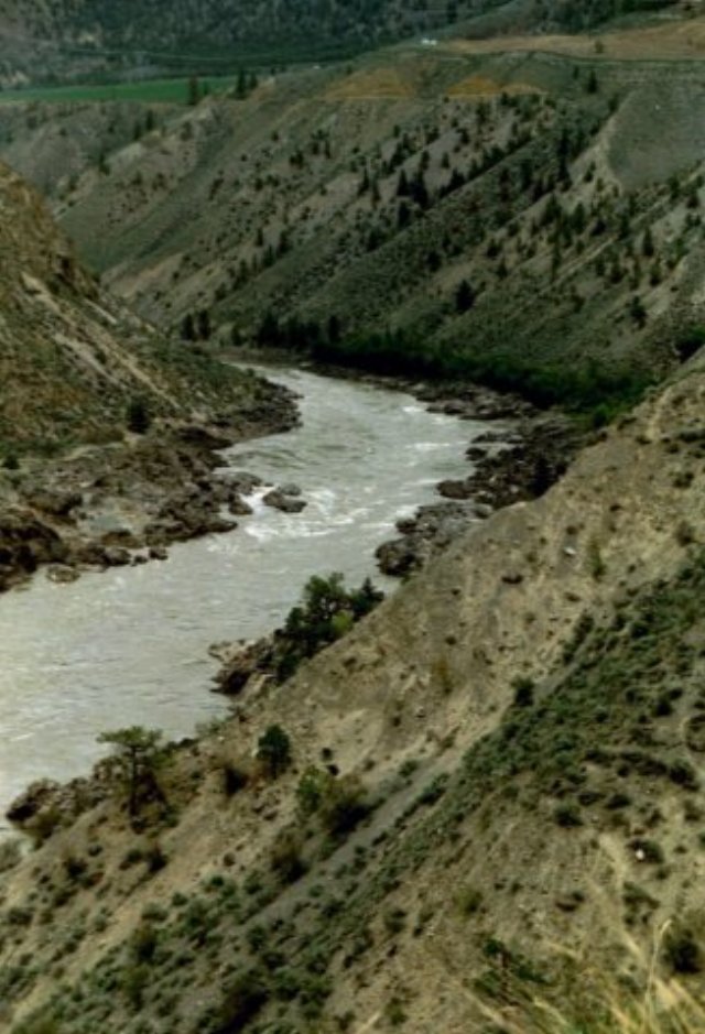 can5_21.jpg