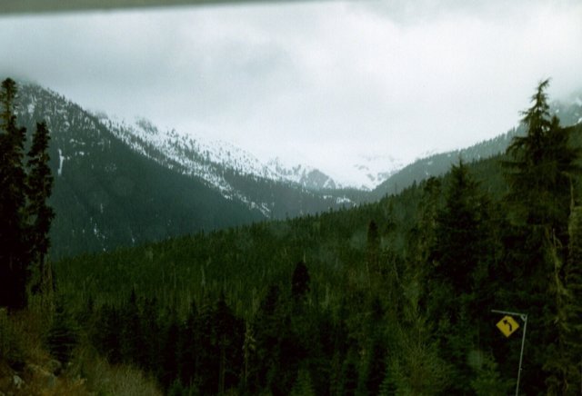 can5_25.jpg
