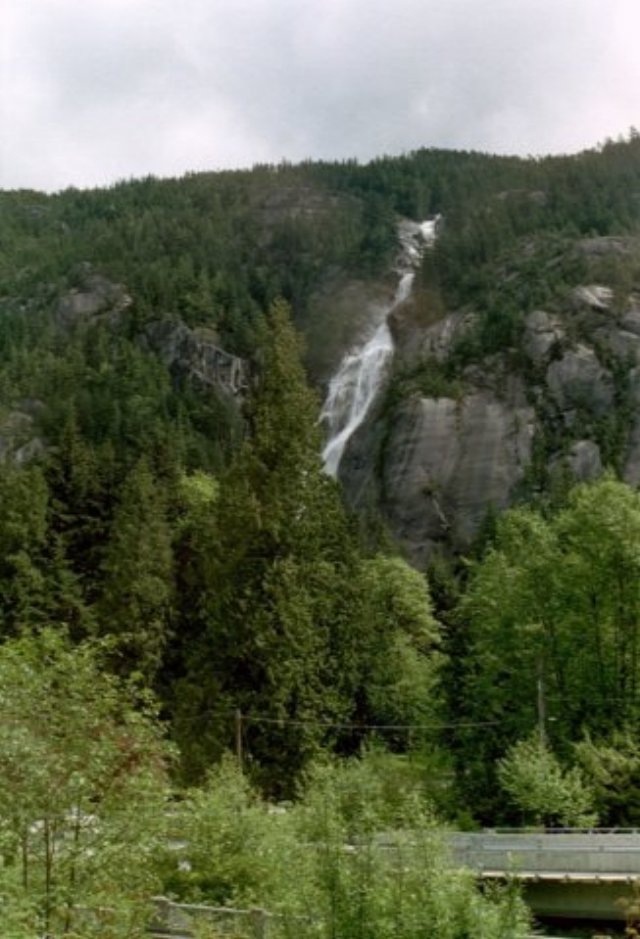 can6_19.jpg