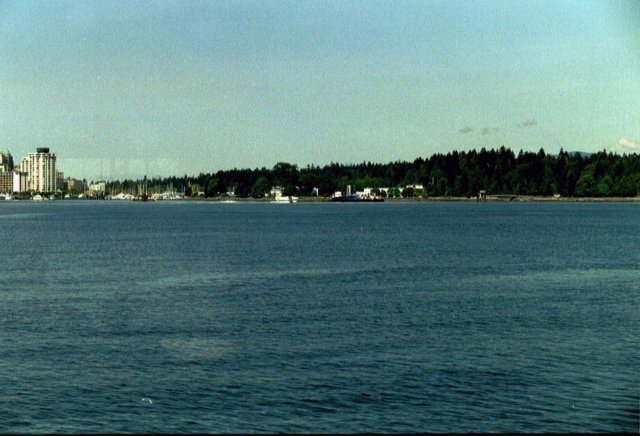 can7_02.jpg