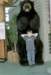 can8_04_small.jpg