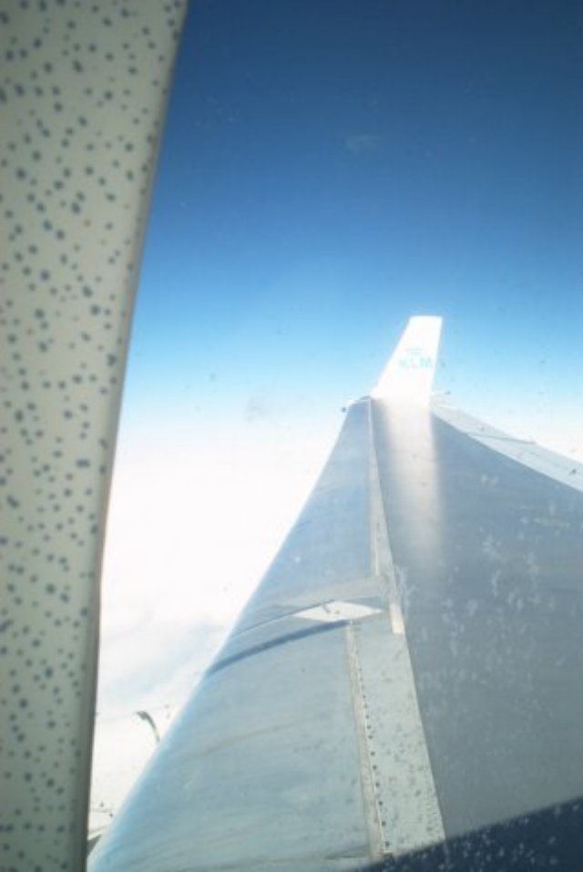 im001175.jpg