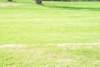 im001237_small.jpg