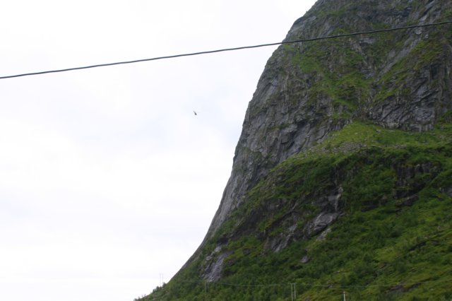 img_5236.jpg