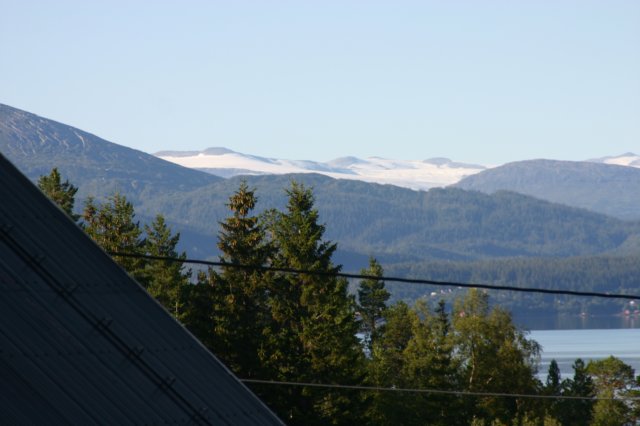 img_5303.jpg
