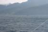 img_5384_small.jpg