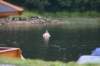img_5398_small.jpg