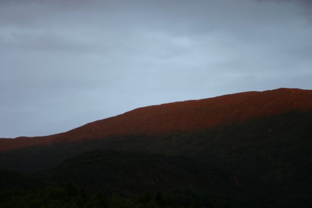 img_5440.jpg