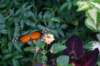 img_5472_small.jpg