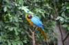 img_5485_small.jpg