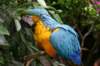 img_5488_small.jpg