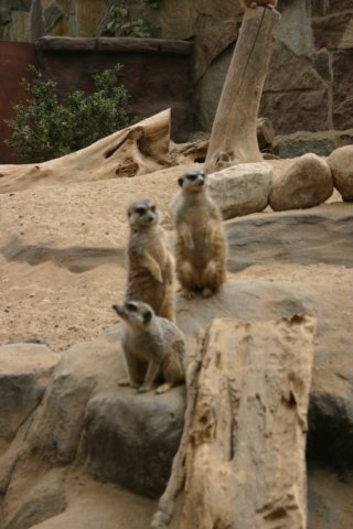 img_5493.jpg