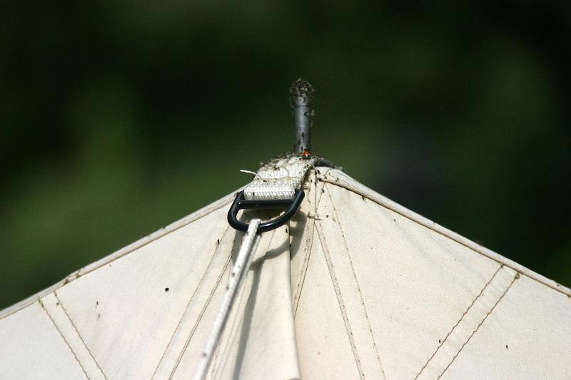 IMG_3588a.jpg - Ook onbekende beestjes op de Rhapsody (een Fred Slee tent)