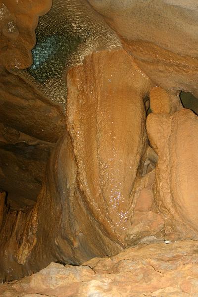 IMG_3594a.jpg