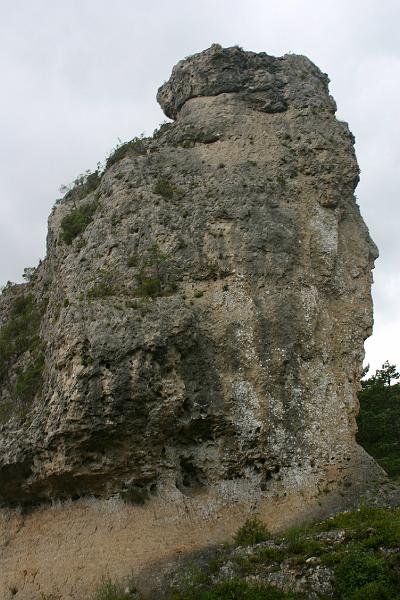 IMG_3810a.jpg