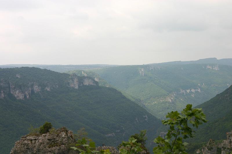 IMG_3821a.jpg