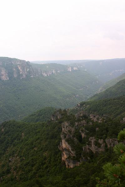 IMG_3835a.jpg