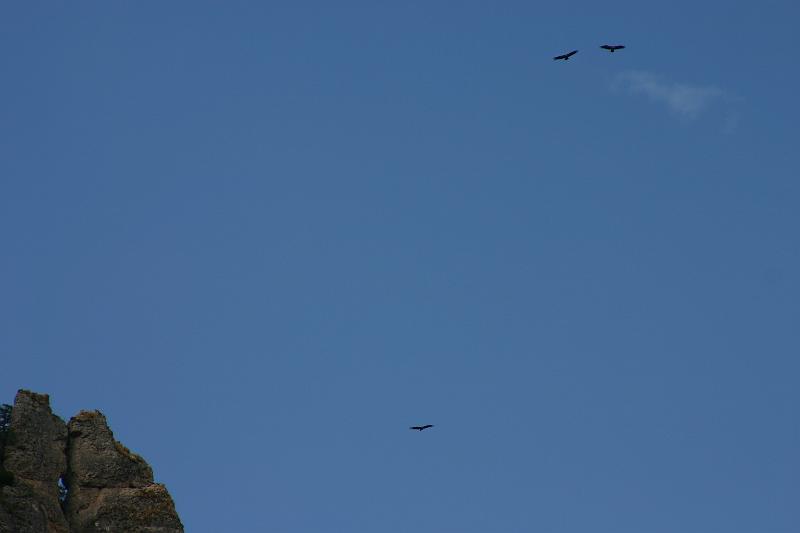 IMG_3919a.jpg