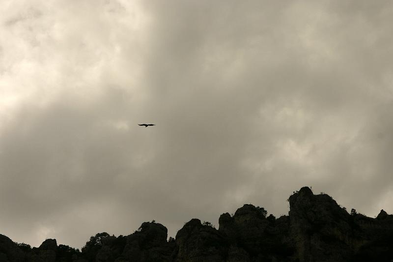 IMG_3962a.jpg