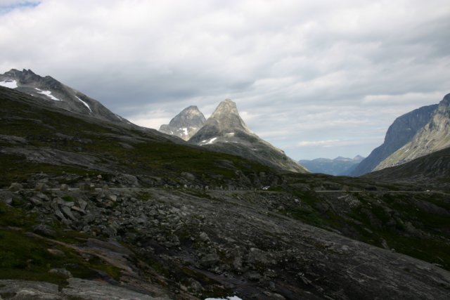 Photograph